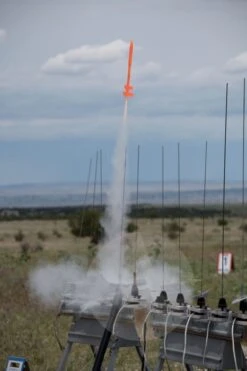 Midge 26 Midge -Hot Sale Toys Store 1b80992969c1b559c32204c7759b5891.image .466x700