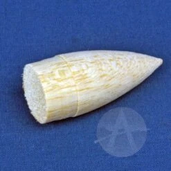 Corporal -Hot Sale Toys Store 5381adaab9ee613d41b71a22efc42d15.image .700x700