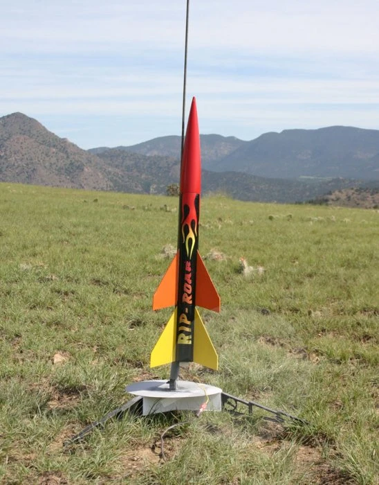 DYNASTAR Rip-Roar 6 DYNASTAR Rip-Roar - Image 4