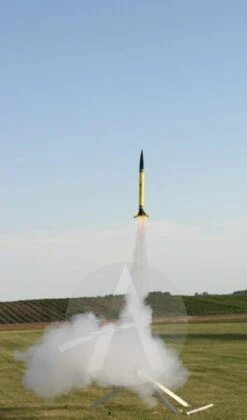 Cluster Duck -Hot Sale Toys Store 89e5c4db790180224f1807d5a0f2c3f5.image .412x700