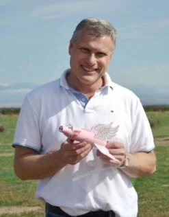 Pigasus -Hot Sale Toys Store 96562c058a5ef7a6752a4291c4bdcd02.image .548x700