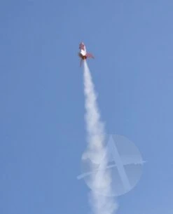 Pigasus -Hot Sale Toys Store b70cd7176077ea5fceb31178e4ae77bb.image .567x700